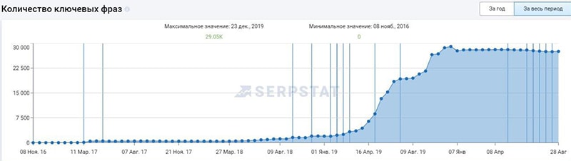 количество ключевых фраз в поиске после seo